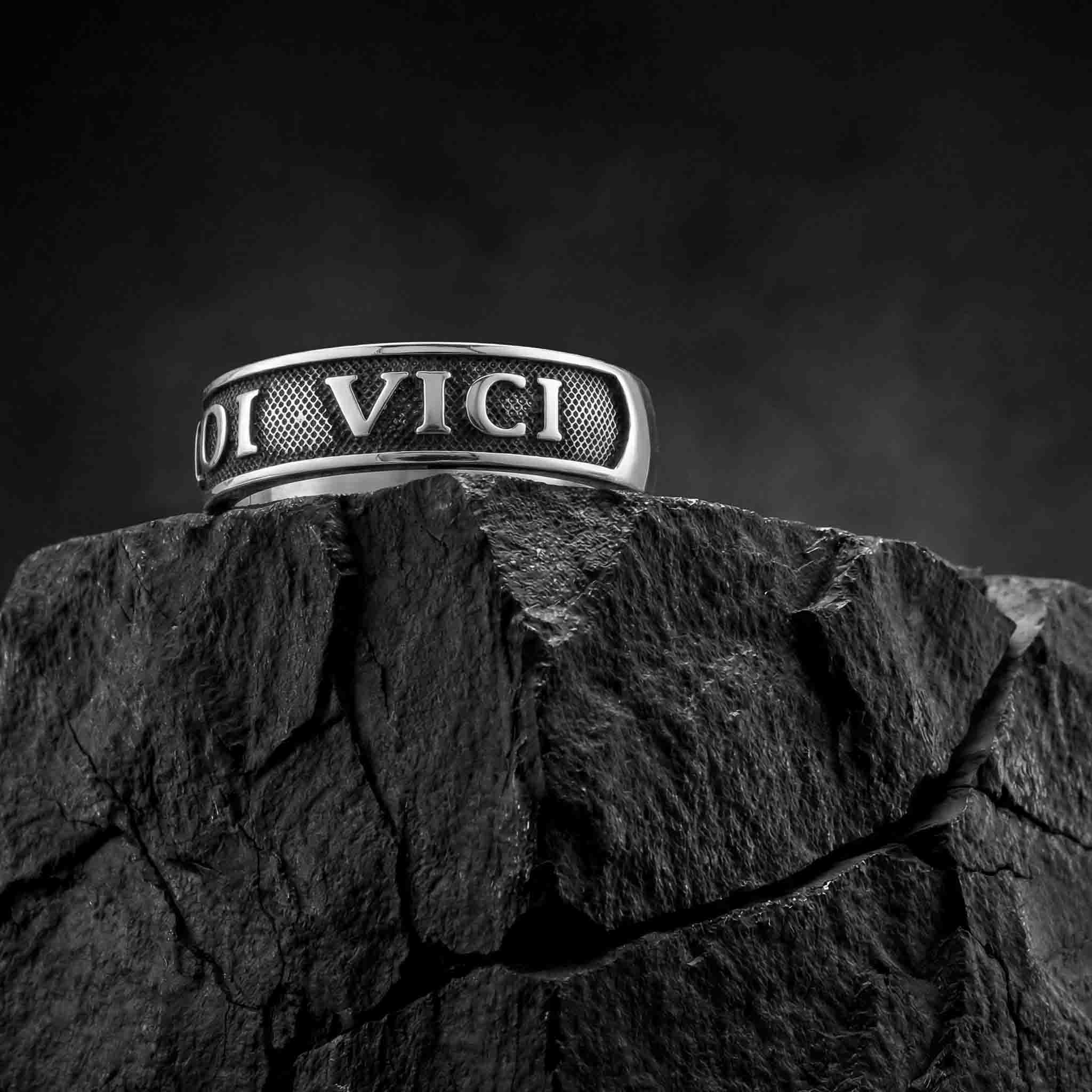 Veni Vidi Vici